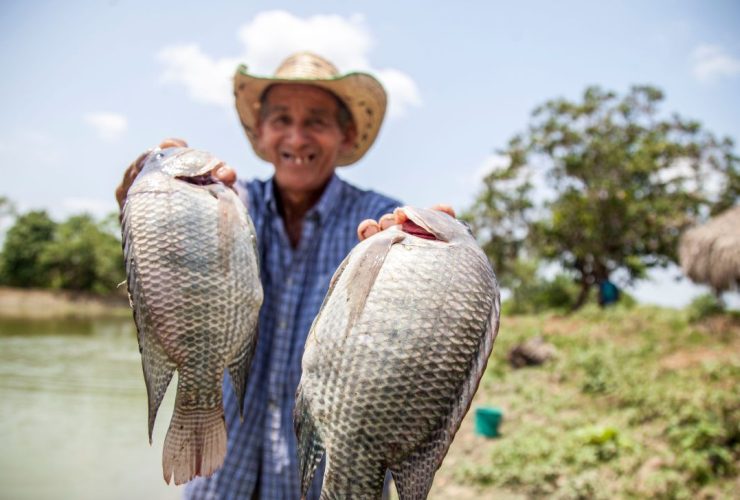 Pengusaha Pembenihan Ikan Menerima Pembayaran dengan Kripto