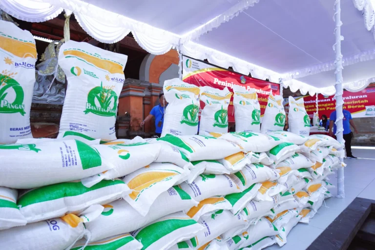 program-bantuan-beras-tahap-1-januari-2025-disalurkan-hari-ini-segera-cek-status-penerima