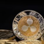 Kebangkitan Altcoin dan Fenomena Maxi Doge Warnai Pasar Kripto Agustus 2025